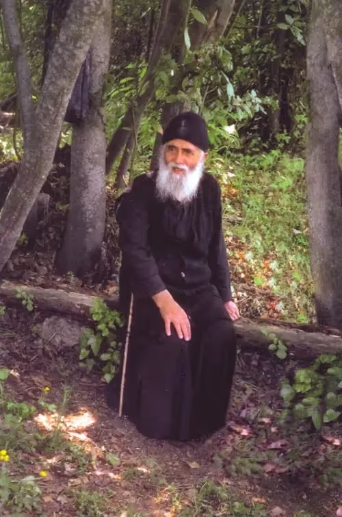 Icon of Saint Paisios the Athonite